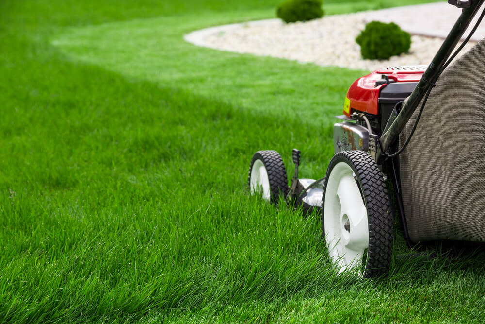 Grasmaaier Kopen Lambrechts Tuinmachines