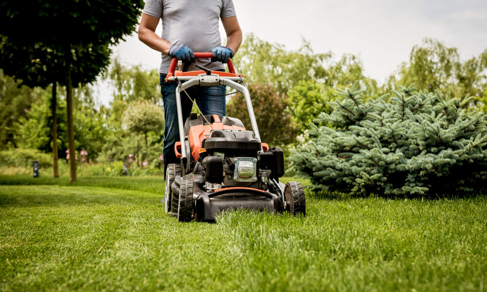 Grasmaaier Kopen Lambrechts Tuinmachines